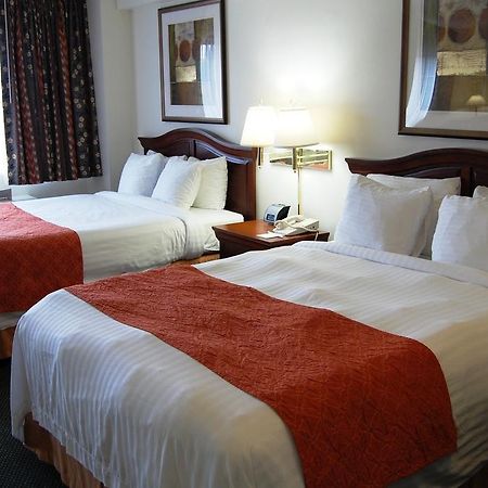 Washington Suites Alexandria Zimmer foto