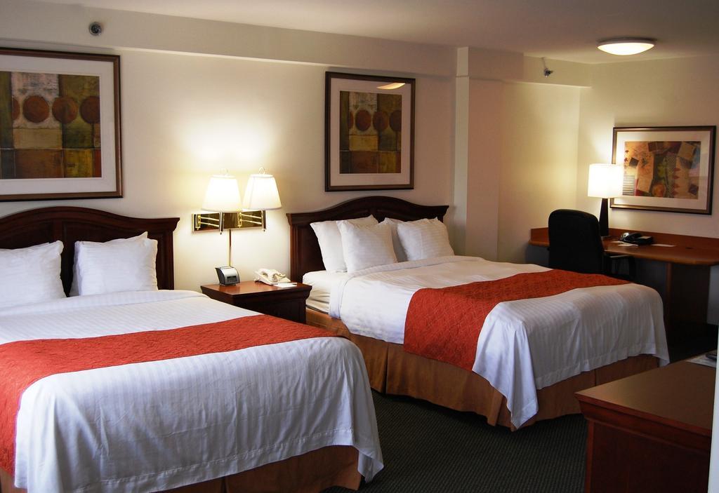Washington Suites Alexandria Zimmer foto